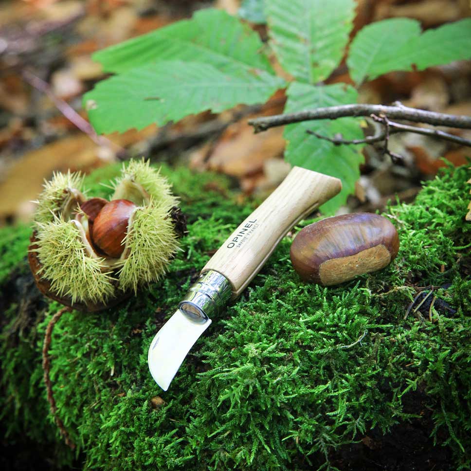 Chestnut & Garlic Paring Knife #7 - Opinel Knife 40mm - Image 4