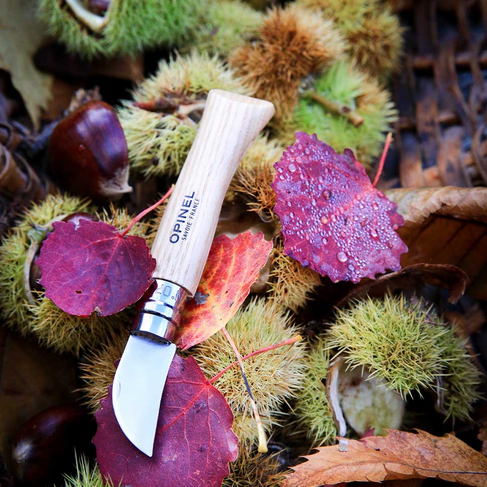 Chestnut & Garlic Paring Knife #7 - Opinel Knife 40mm - Image 5