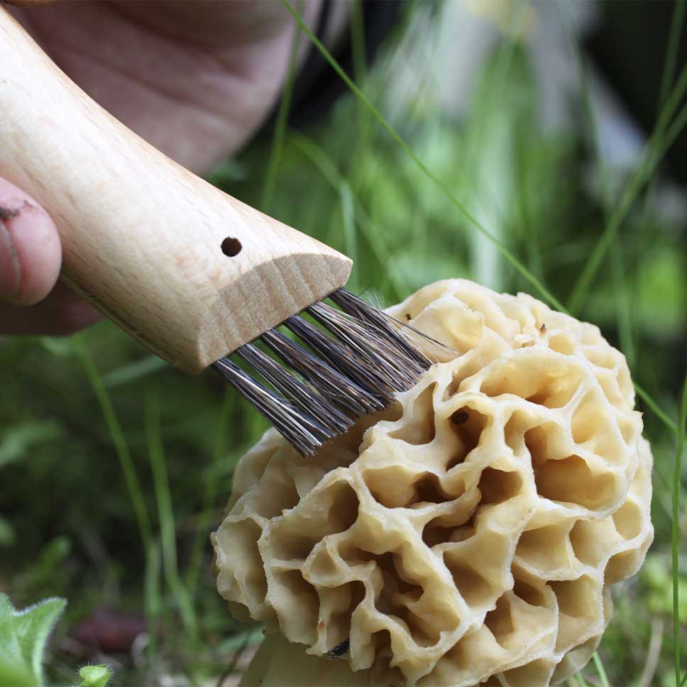 Mushroom Oak #8 with Sheath - Opinel Knife 70mm - Image 2